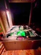 Arcadian Haven Farm Stay - 25 spectacular acres