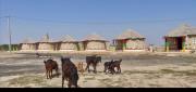Rann Roshni homestay