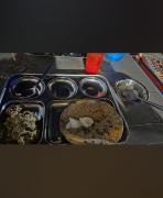 Top Dhordo Top Dhordo