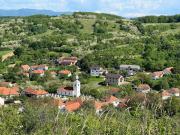 Top Silvaşu de Sus Top Silvaşu de Sus