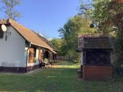 Top Szőlősgyörök