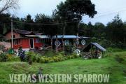 Veeras Western Sparrow Homestay