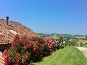 Top Castelnuovo