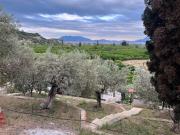 Top Ancient Epidavros