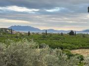 Top Ancient Epidavros