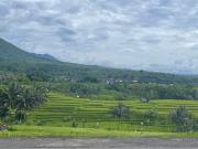 Pondok Indah Homestay