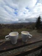 Panoramic View Bran - Apartament