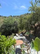 Top Torrox