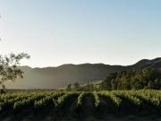 Arendsig Wine Estate and River Eco Cabin