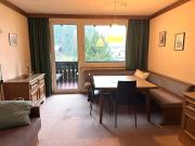 Gemütliches Apartment in Top-Lage - 250 m zum Lift, nahe Zentrum