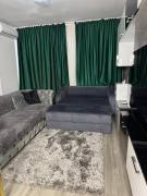 Luxury Apartment Romanescu