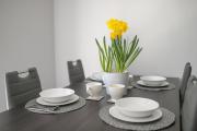 Cracow Modern Apartment FREE Parking, Views, Tram