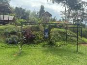 Top Khao Sok