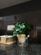 Top Reguengos de Monsaraz