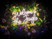 Top Sault-de-Vaucluse