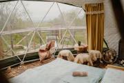 Wild Glamping Liptov