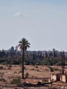 Top Marrakesz