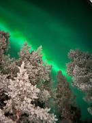 Kalliorinne - Lakefront Villa