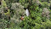 Chalé da Floresta