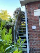 Top Winsum Top Winsum