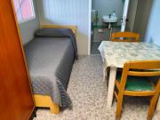 Top Vaccarizzo - Delfino