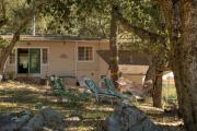 Top Palomar Mountain