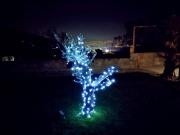 Top Zgornje Škofije