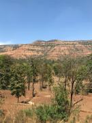 George Villa home Stay