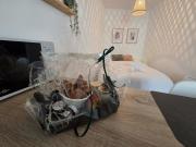 Top Ruelle-sur-Touvre