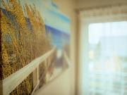 Top Jastrzębia Góra Top Jastrzębia Góra