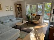 Crassula aurea apartment Crassula aurea apartment