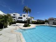 Royal Palm 10 Royal Palm 10