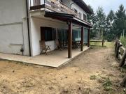 Top Lorica Top Lorica