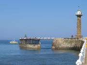 Top Whitby