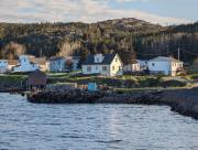 Top Herring Neck