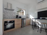 Le Mimosa des Cévennes