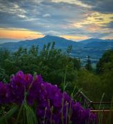 Top La Roche-sur-Foron