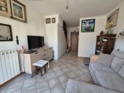 Top Arezzo Top Arezzo