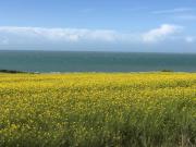 Coolcottage des 2 Caps