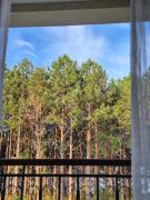 Top Domingos Martins