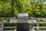 Top Cuddebackville