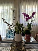 Top Issy-les-Moulineaux