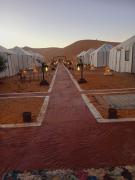 Luxury camp excurions