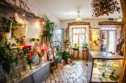 Beguta Guest House Beguta Guest House