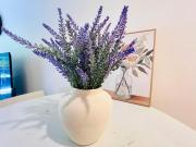 South BNE Modern Stay