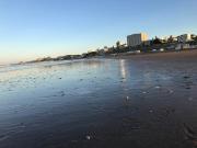 Mi Techito Surf beach