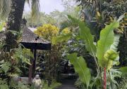 Top Ubud