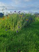 Cozy Holiday Home On Funens North Coast