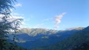 Top Nagar