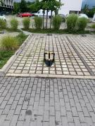 Top Wrocław Top Wrocław